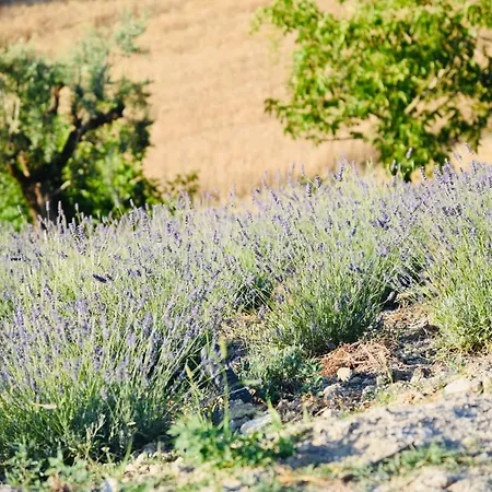 Appartement Il Casale Dei Nonni *